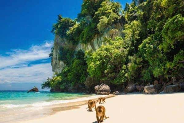 Things To Do In Phi Phi