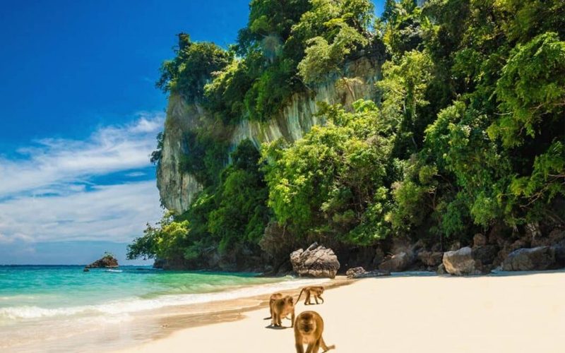 Things To Do In Phi Phi