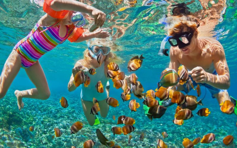 Step-by-Step Guide to Beginner Snorkeling1