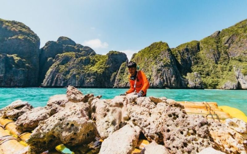 Why is Maya Bay Famous_Coral Reef Restoration